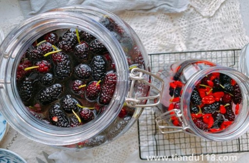 桑葚泡酒多久把桑葚渣撈出來(lái)3