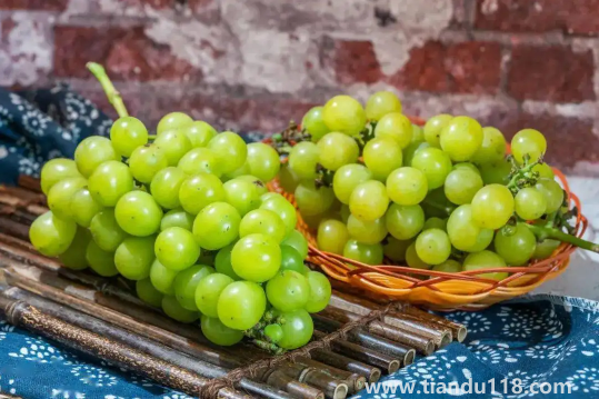 陽光玫瑰葡萄無籽是打了避孕藥嗎3