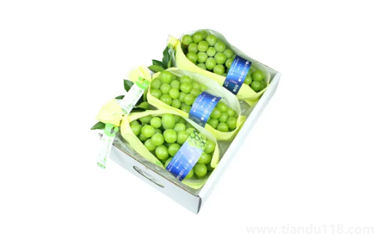 陽(yáng)光玫瑰是晴王葡萄嗎(陽(yáng)光玫瑰怎么挑選)(圖2) 陽(yáng)光玫瑰是晴王葡萄嗎2