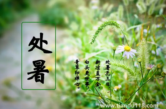 2022年處暑的具體時間是幾點(處暑吃什么)(圖3) 2022年處暑是幾月幾號幾點幾分幾秒鐘3