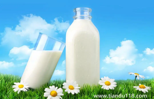 牛初乳的功效與作用及副作用(牛初乳怎么吃效果好)(圖1) 牛初乳的功效與作用及副作用1