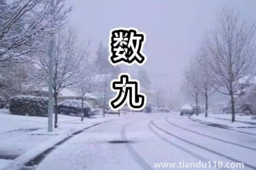 2022年一九是哪天幾月幾號星期幾(冬至是一九的開始嗎)(圖1) 2022年一九是哪天幾月幾號星期幾1