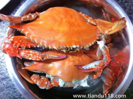 凍梭子蟹是不是要化凍了才能炒(梭子蟹怎么炒好吃又簡(jiǎn)單)(圖3) 凍梭子蟹是不是要化凍了才能炒3