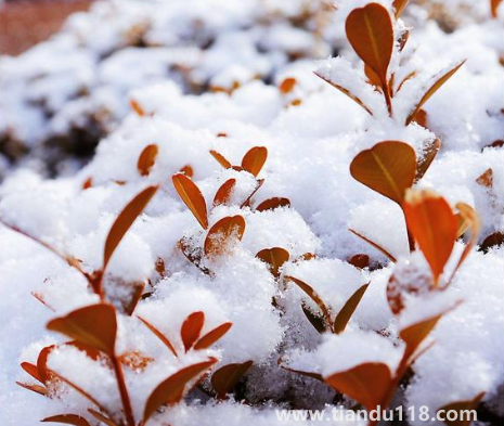 夏天有多熱冬天就有多冷是真的嗎20233