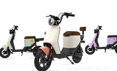 為什么小偷不偷雅迪電動車(雅迪電瓶車被偷了沒買保險怎么辦)(圖1) 為什么小偷不偷雅迪電動車1