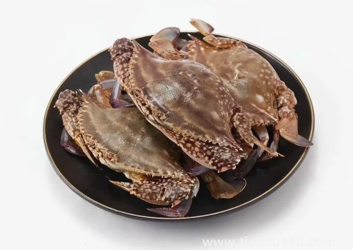 網(wǎng)購(gòu)的梭子蟹上午到的到晚上吃可以嗎2