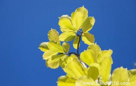 2022國慶節(jié)會有冷空氣嗎2