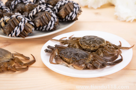 買來(lái)的活螃蟹暫時(shí)不吃怎么保存3