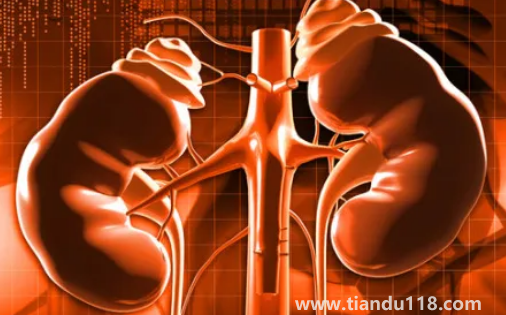 止痛藥吃多了會導致腎衰竭嗎(腎衰竭怎么引起來的)(圖3) 止痛藥吃多了會導致腎衰竭嗎3