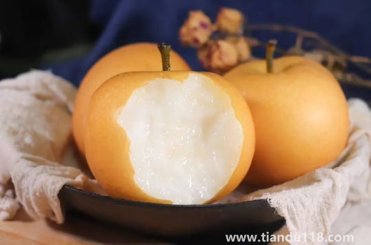 秋月梨和雪梨哪個(gè)止咳效果好(秋月梨怎么挑選)(圖1) 秋月梨和雪梨哪個(gè)止咳效果好1