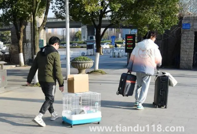 2023年春節(jié)假期會延長嗎(2023春節(jié)什么時候放假)(圖1) 2023年春節(jié)假期會延長嗎1