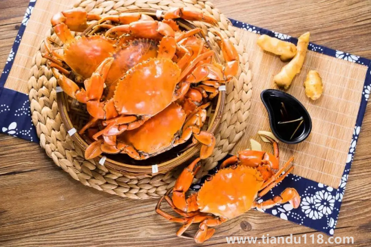 青蟹什么時(shí)候最肥最好吃(青蟹怎么做好吃又簡(jiǎn)單)(圖3) 青蟹什么時(shí)候最肥最好吃3