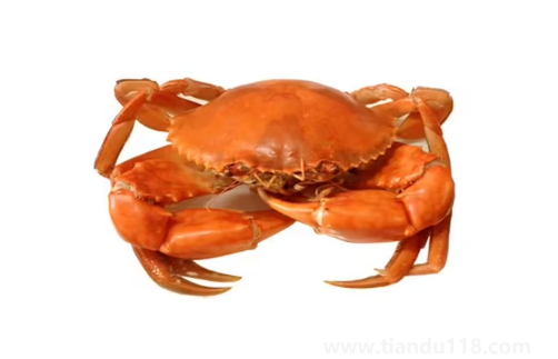 青蟹什么時(shí)候最肥最好吃(青蟹怎么做好吃又簡(jiǎn)單)(圖2) 青蟹什么時(shí)候最肥最好吃2