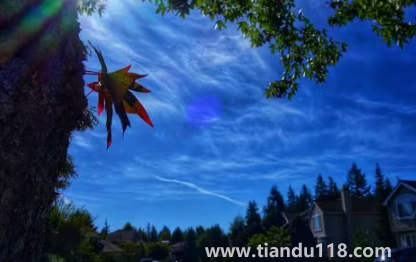 云南11月份溫度一般是多少(十一月份的云南應該帶什么衣服)(圖1) 云南11月份溫度一般是多少1