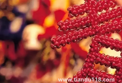 2023年春節(jié)會(huì)比2022年春節(jié)冷還是熱(2023年春節(jié)溫度高還是低)(圖3) 2023年春節(jié)會(huì)比2022年春節(jié)冷還是熱3