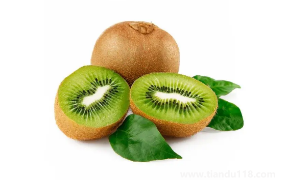 獼猴桃泡酒獼猴桃要熟透嗎(獼猴桃泡酒的注意事項(xiàng))(圖1) 獼猴桃泡酒獼猴桃要熟透嗎1