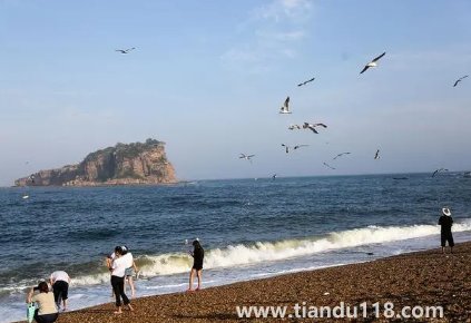 2022年大連國(guó)慶期間會(huì)人山人海嗎(國(guó)慶去大連旅游要玩幾天)(圖1) 2022年大連國(guó)慶期間會(huì)人山人海嗎1