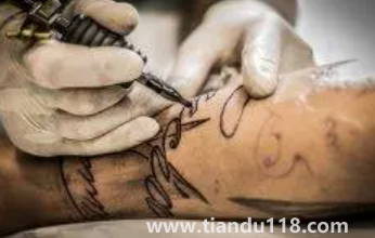 鯉魚(yú)可以隨便紋嗎(紋鯉魚(yú)哪些是要注意的)(圖3) 鯉魚(yú)可以隨便紋嗎3