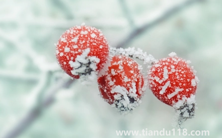 2022年霜降會提前嗎1