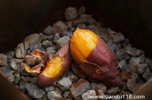 烤紅薯升糖指數(shù)高嗎(烤紅薯不適合什么人吃)(圖2) 烤紅薯升糖指數(shù)高嗎2