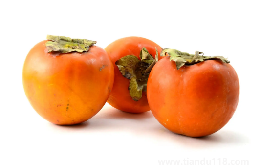 柿子和雞蛋一起吃了怎么辦(柿子和雞蛋一起吃的危害)(圖2) 柿子和雞蛋一起吃了怎么辦2