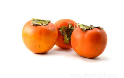 用鹽泡柿子要泡幾天(吃柿子的注意事項)(圖2) 用鹽泡柿子要泡幾天2