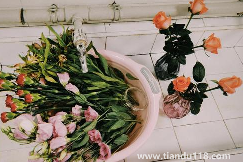 網(wǎng)上買的鮮花先去葉子還是先醒花(醒花時(shí)哪些是要注意的)(圖3) 網(wǎng)上買的鮮花先去葉子還是先醒花3