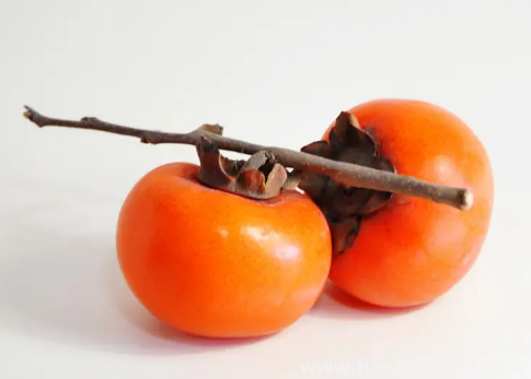 柿子用什么泡好吃又脆不澀口(吃柿子的注意事項)(圖2) 柿子用什么泡好吃又脆不澀口2