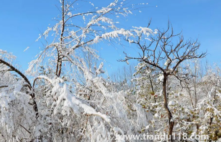 今年元旦北京會下雪嗎2023(元旦去北京穿什么合適)(圖3) 今年元旦北京會下雪嗎20233
