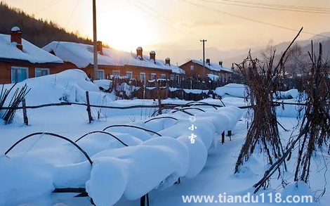 2022小雪過后就開始數(shù)九了嗎(數(shù)九是怎么算的)(圖1) 2022小雪過后就開始數(shù)九了嗎1