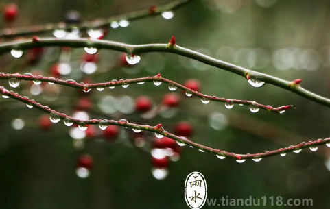 2023雨水節(jié)氣可以同房嗎（雨水忌諱有哪些）