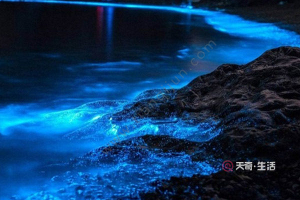 福建除了廈門還有哪里旅行